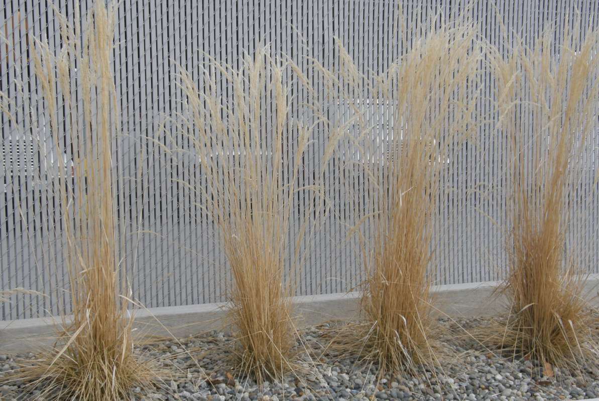 Silhouette<br>(Location of Picture: Okanogan, Wa., USA, 2012)