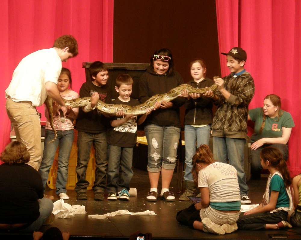 Reptile Show - with Children<br>(Location of Picture: Omak, Wa., USA, 2012)