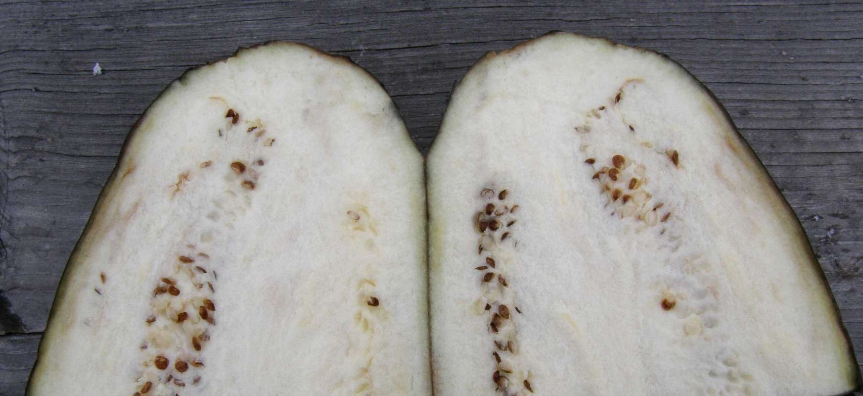 Fruit - Longitudinal Cut Away<br>(Location of Picture: Commerical, Wa., USA, 2012)