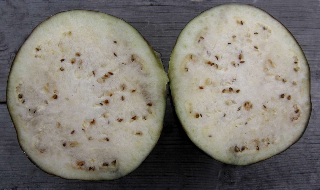 Fruit - Cross Cut Away<br>(Location of Picture: Commerical, Wa., USA, 2012)
