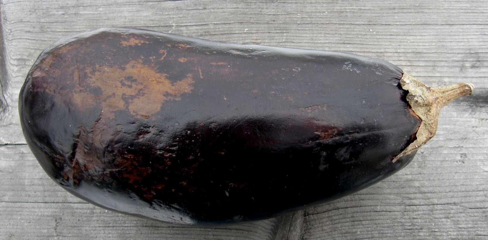 Fruit<br>(Location of Picture: Commerical, Wa., USA, 2012)