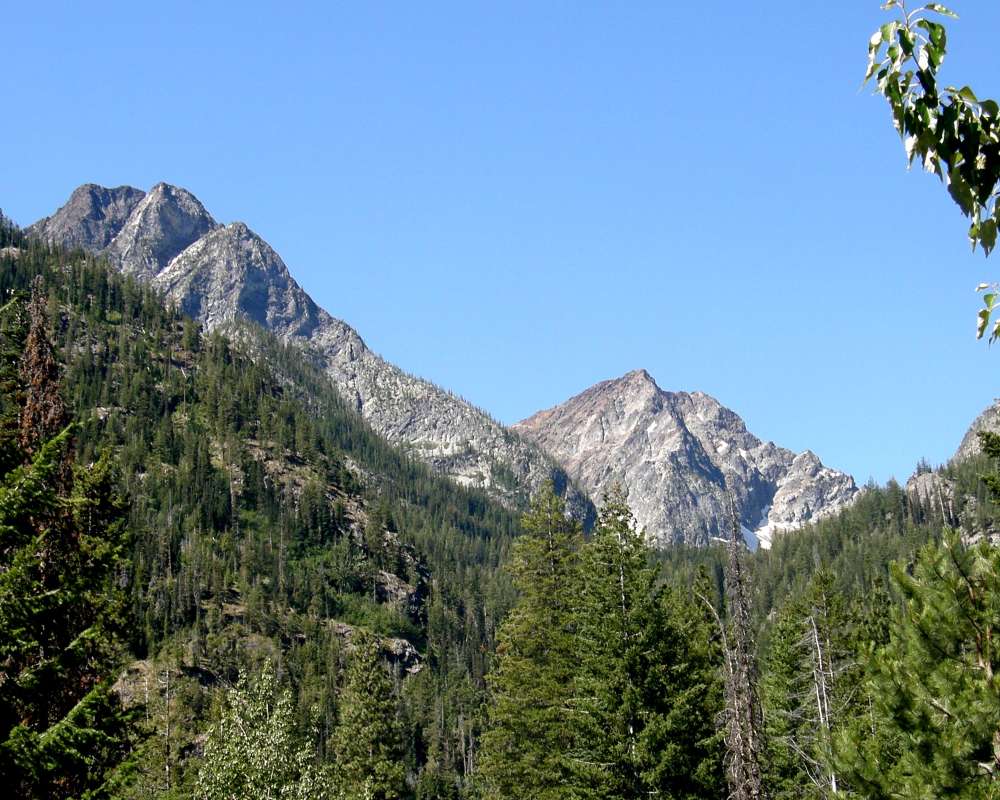 Forests<br>(Location of Picture: Near Copper Pass, Wa., USA, 2013)