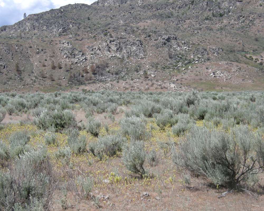 Closer View<br>(Location of Picture: Near Okanogan, Washington, 2016)