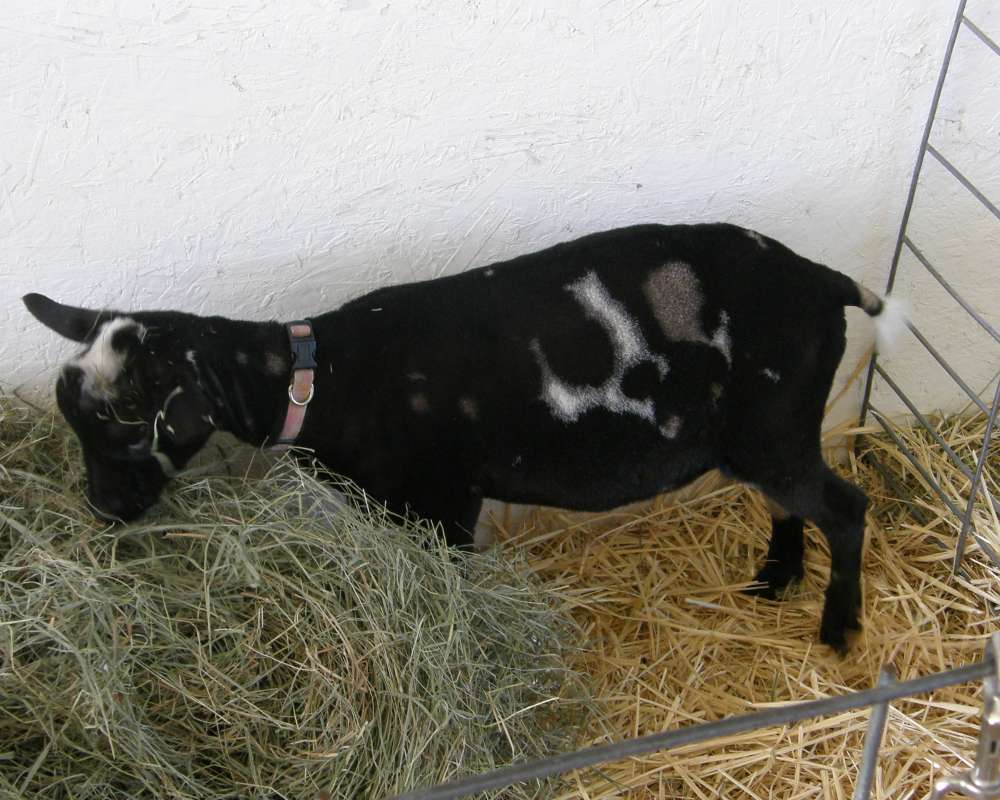 Young Male in Nigeria<br>(Location of Picture: Southern Nigeria, Dec. 2015)<br>(Location of Picture: Okanogan, Washington, USA, 2016)