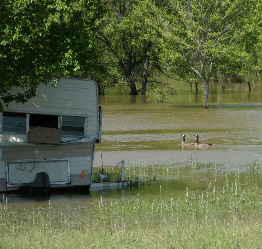 Flooding Image with Geese<br>(Location of Picture: Near Okanogan, Washignton, 2018)