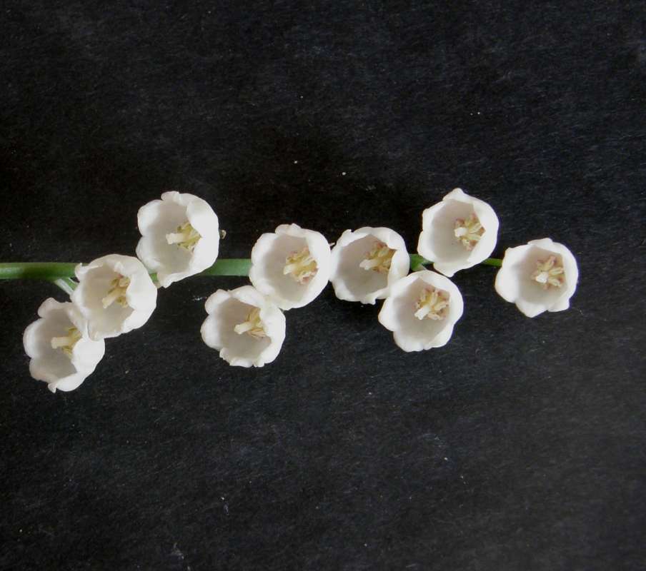 Flwoers - Front View<br>(Location of Picture: Okanogan, Washington, USA, 2018)