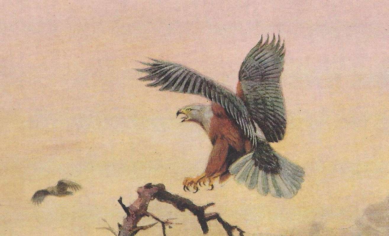 Closer View<br>(Origin of the Specimen: Color Painting)