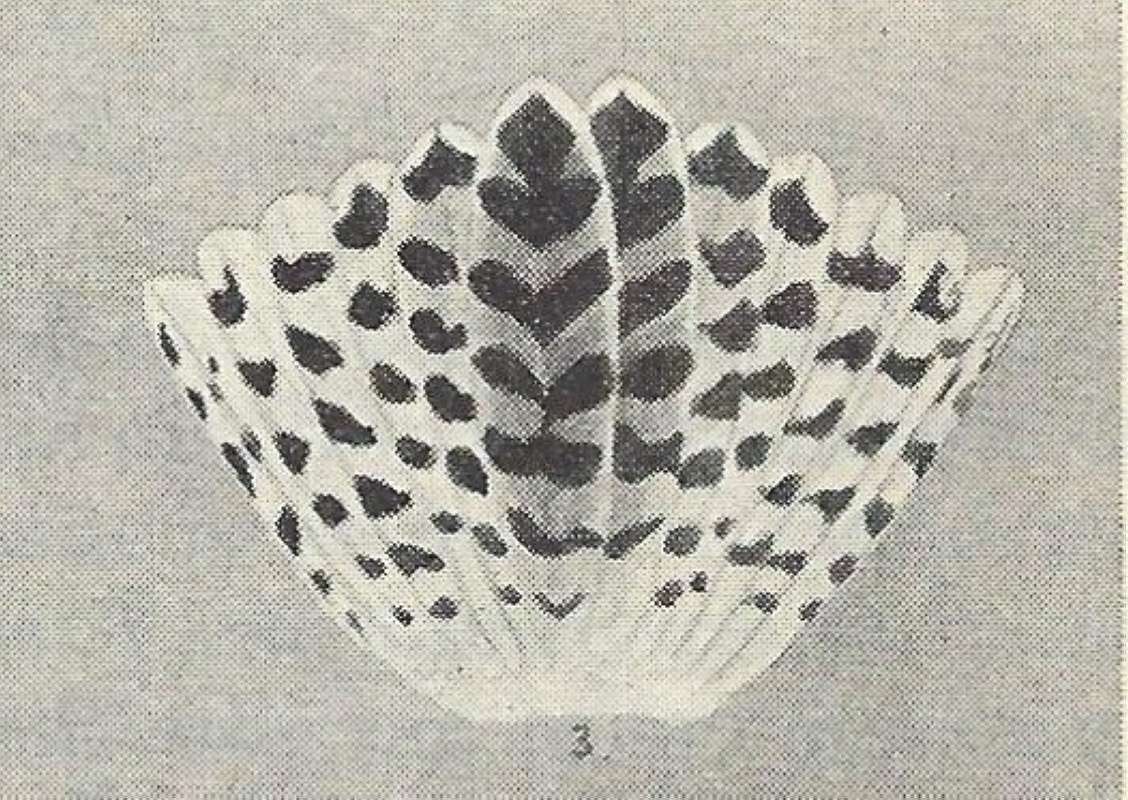 Drawing of Tail<br>(Origin of the Specimen: Black and White Drawing)