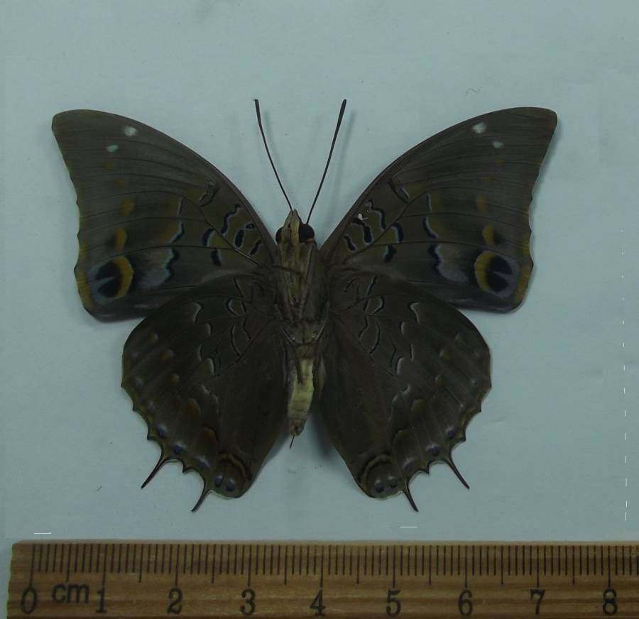 Tanzania, June 2014