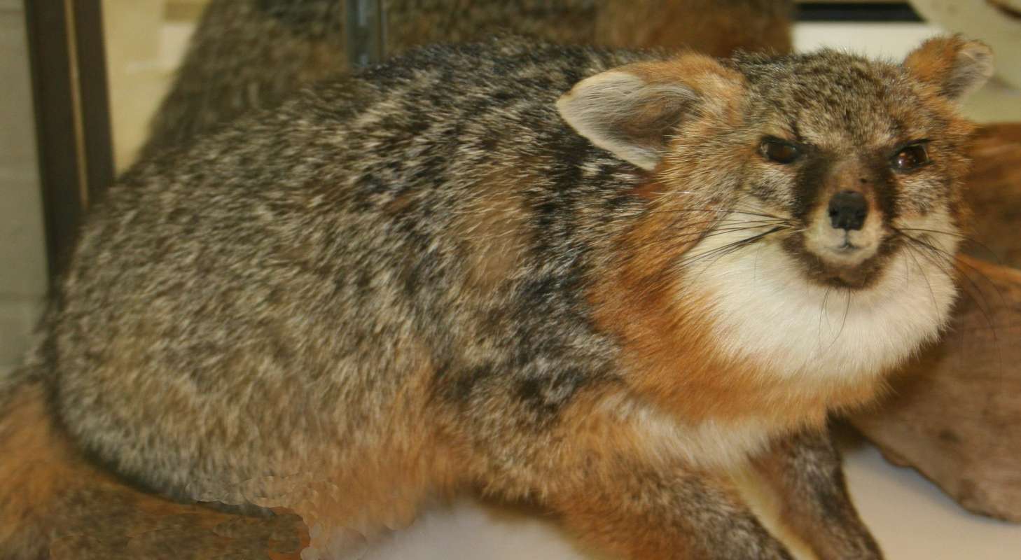 Museum View<br>(Location of Picture: Muskegan, Michigan, USA, 2008)