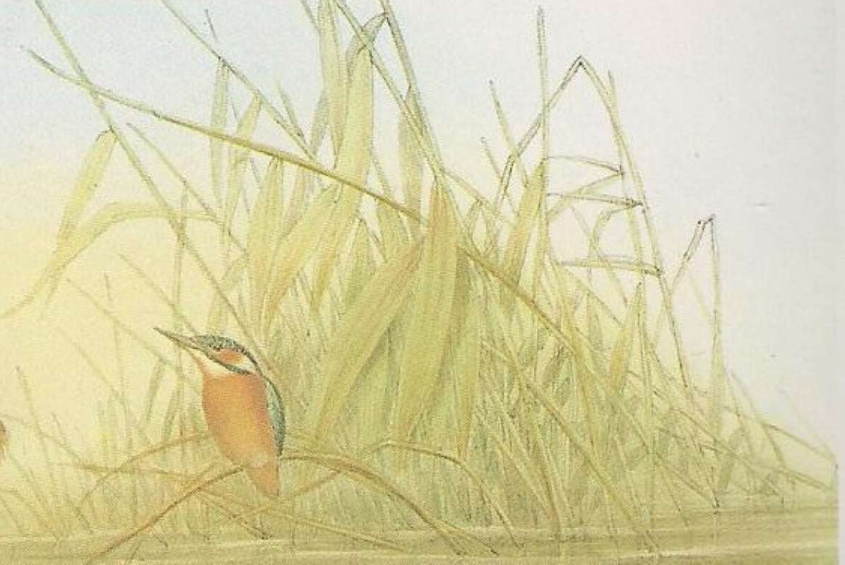 In Grass in Background<br>(Origin of the Specimen: Painting)