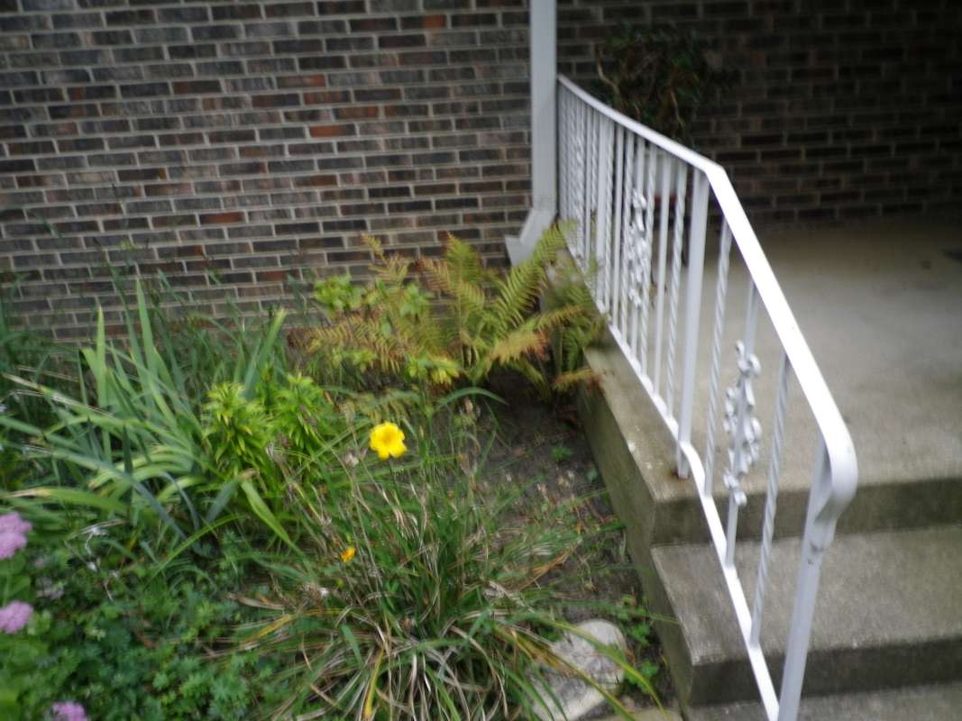 Garden View<br>(Location of Picture: McHenry Garden, Illinois, USA, 2011)