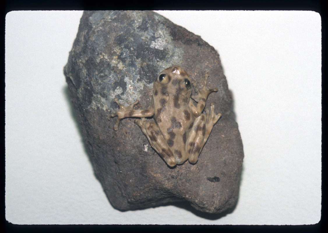 <br>(Location of Picture: Arizona, USA)<br>(Location of Picture: Museum)