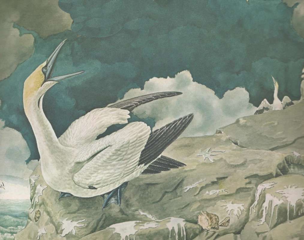 Sitting on Rocks<br>(Origin of the Specimen: Painting)