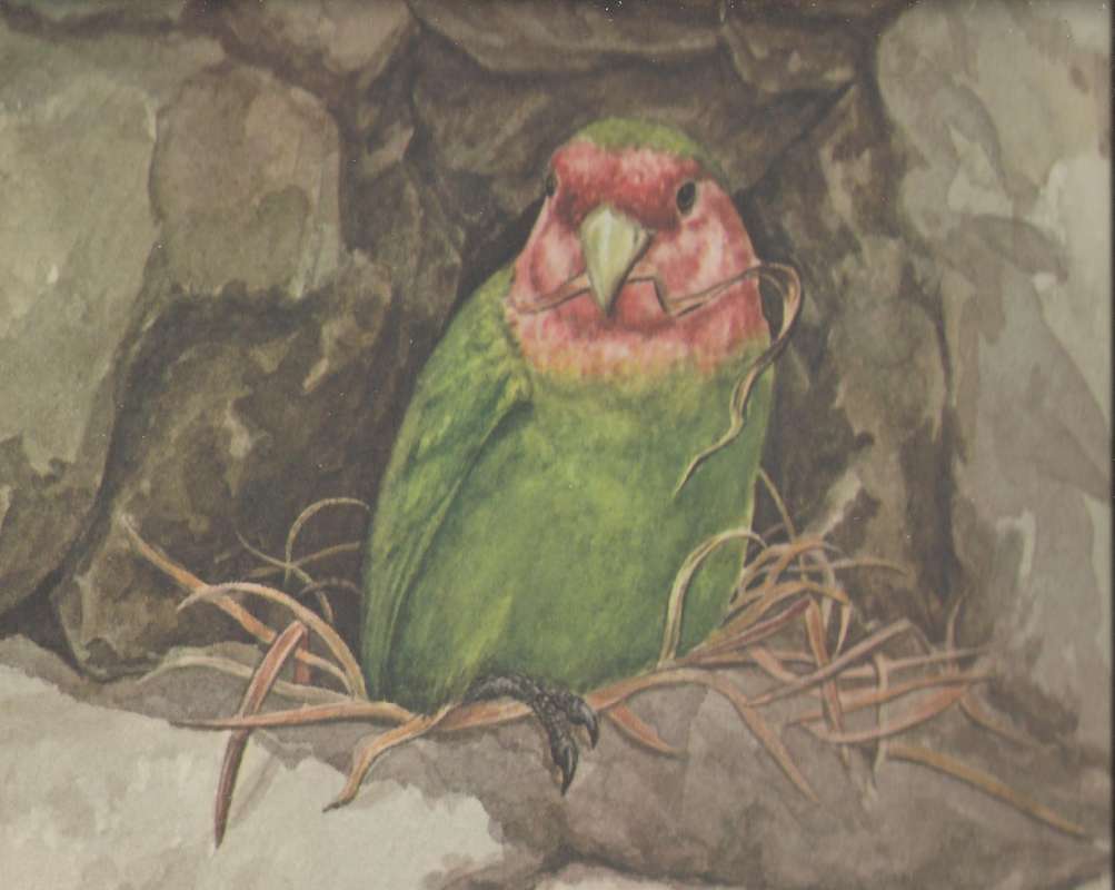 On Nest<br>(Origin of the Specimen: Painting)