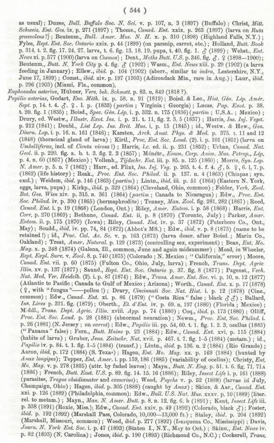 Papilio polyxenes ssp asterius - Part-B<br>(Origin of the Specimen: Rothschild and Jordan - 1906)