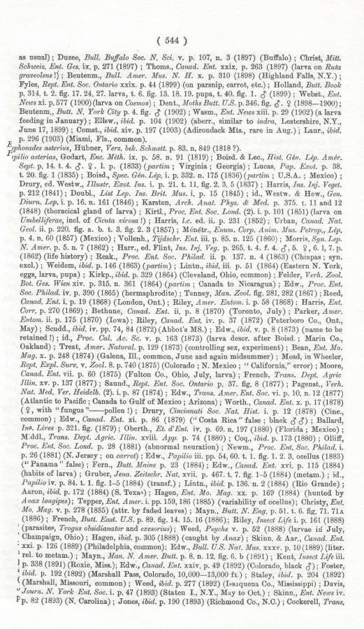 Papilio polyxenes ssp asterius - Part-C<br>(Origin of the Specimen: Rothschild and Jordan - 1906)