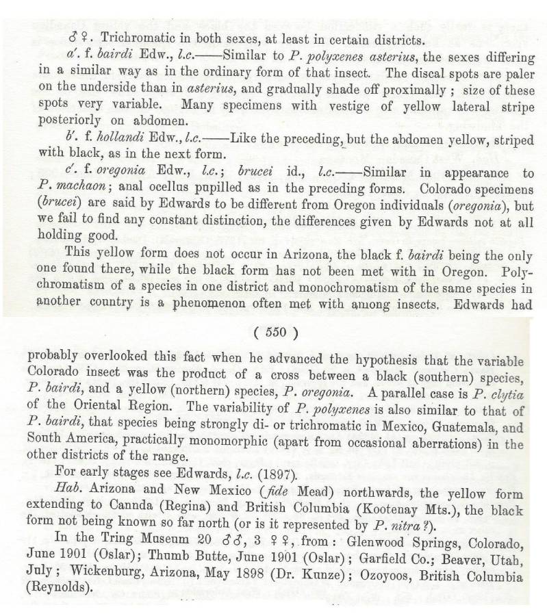 Papilio bairdi species text - B<br>(Origin of the Specimen: Rothschild and Jordan 1906)