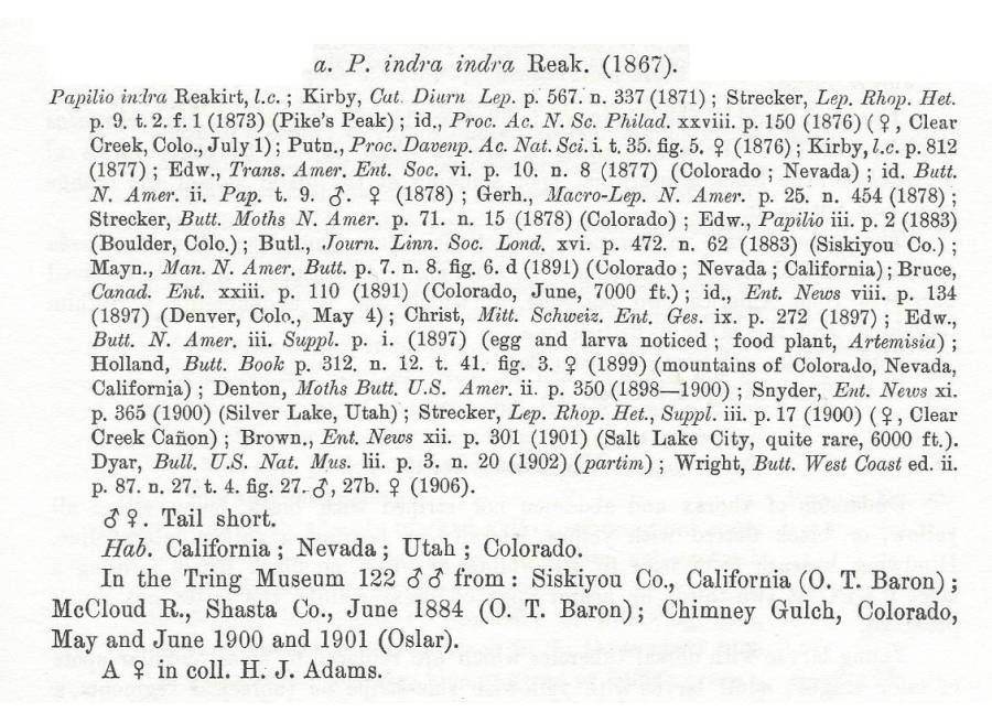 Papilio indra ssp indra - text<br>(Origin of the Specimen: Rothschidl and Jorcan)