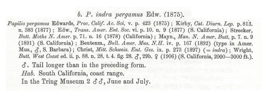 Papilio indra ssp pergamus Text<br>(Origin of the Specimen: Rothschild and Jordan 1906)