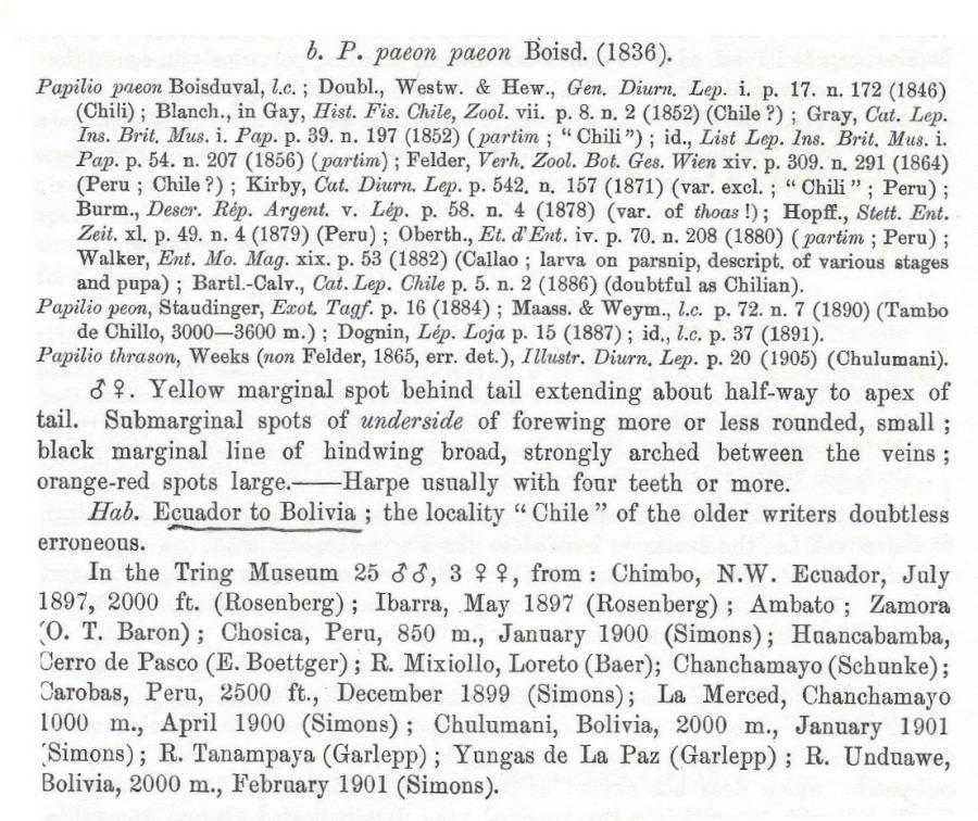 Papilio paeon ssp thrason text<br>(Origin of the Specimen: Rothschild and Jordan - 1906)