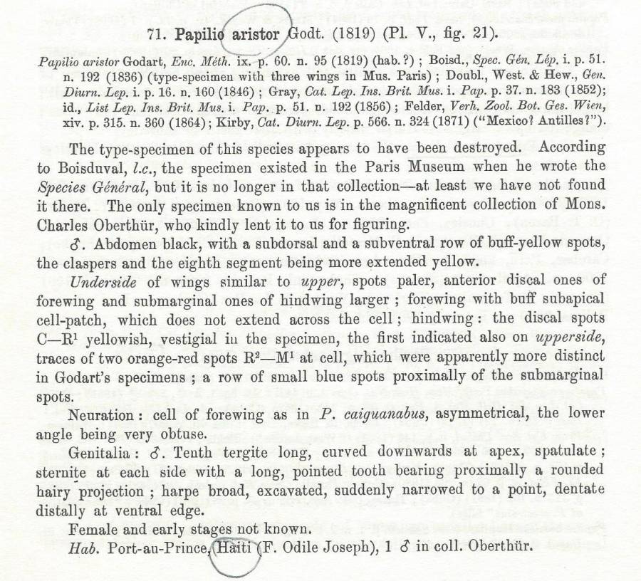 Papilio aristor Text<br>(Origin of the Specimen: Rothschild and Jordan - 1906)