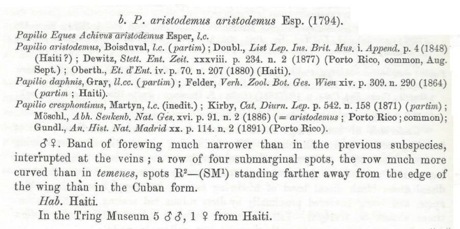 Subspecies aristodemus<br>(Origin of the Specimen: Rothschild and Jordan - 1906)