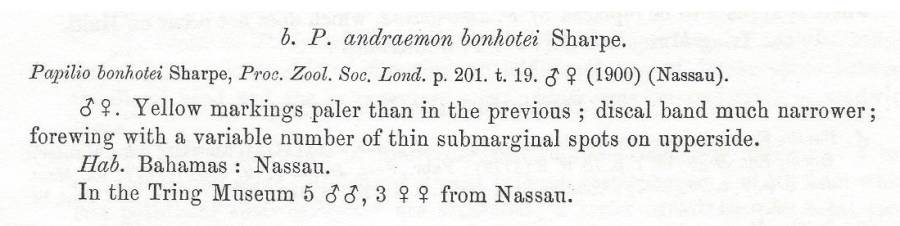 Subspecies bonhotei text<br>(Origin of the Specimen: Rothschild and Jordan, 1906)