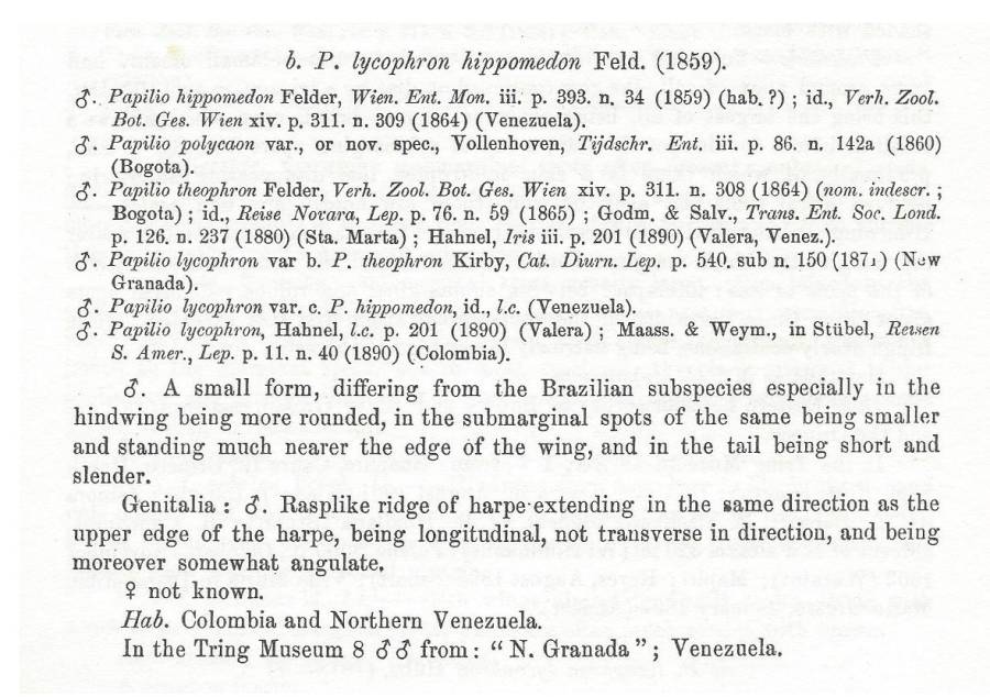 P. lycophron hippomedon text<br>(Origin of the Specimen: Rothschildl and Jordan - 1906)