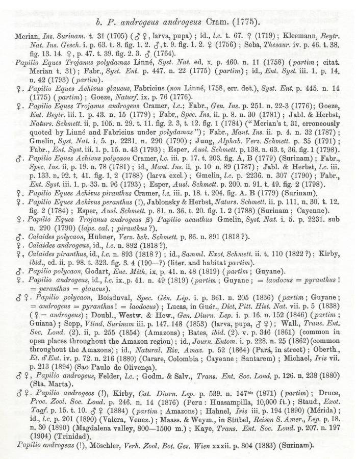 Nominate subspecies  Text<br>(Origin of the Specimen: Rothschild and Jordan - 1906)
