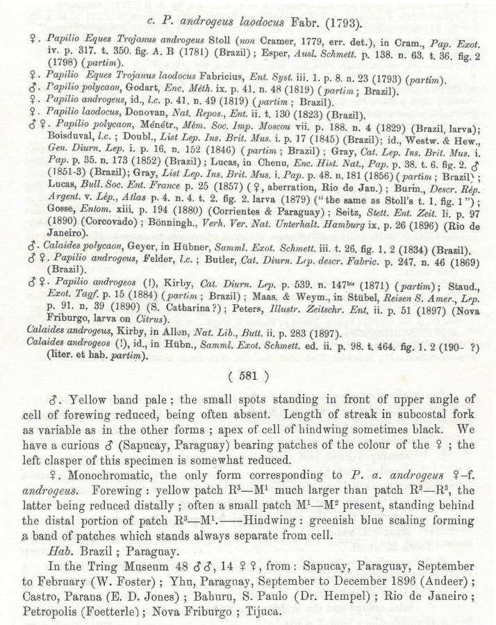 Laodocus Text<br>(Origin of the Specimen: Rothschild and Jordan - 1906)