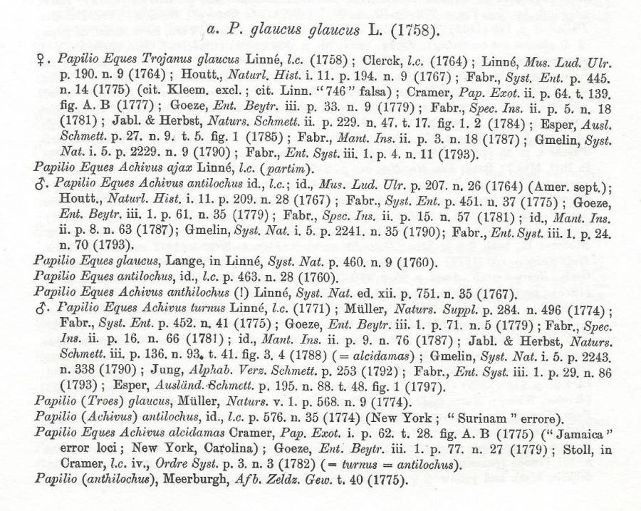 Papilio glaucus glaucus Text-A
