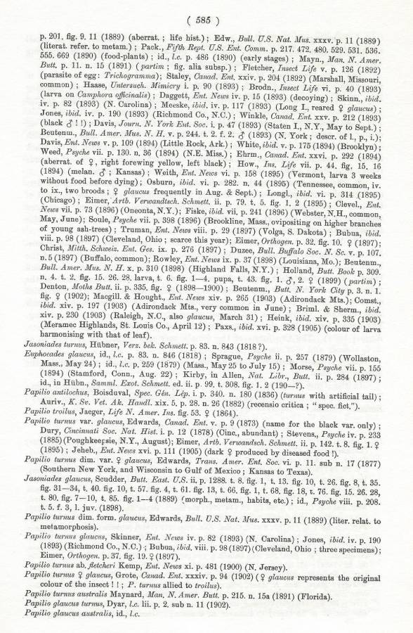 Papilio glaucus glaucus Text-C