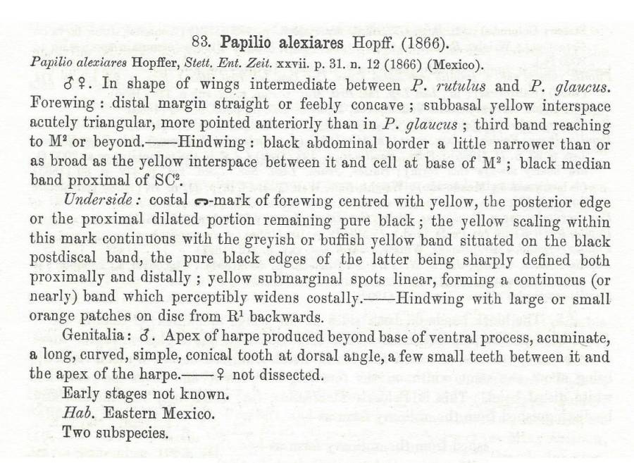 Papilio alexiares Species Text<br>(Origin of the Specimen: Rothschidl and Jordan 1906)