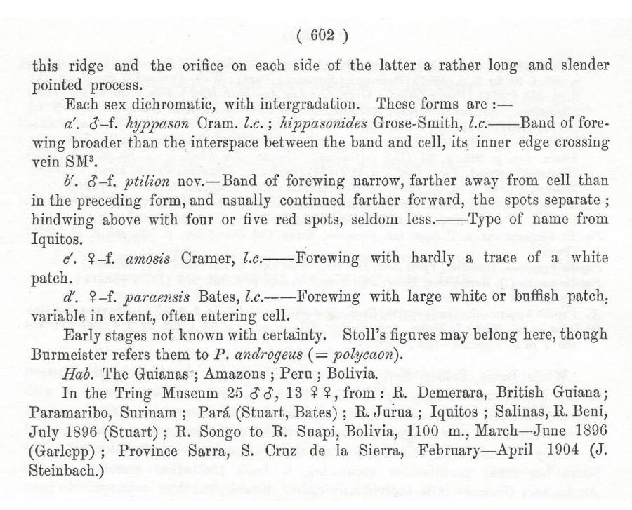 Species Text - Part C<br>(Origin of the Specimen: Rothschild and Jordan - 1906)