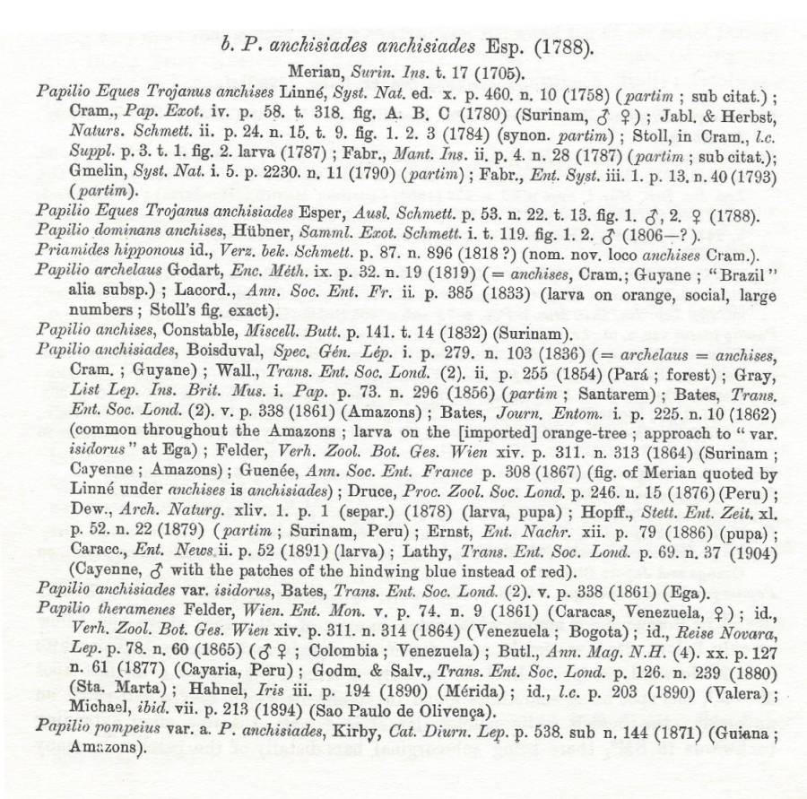 Nominate Subspecies-Part One<br>(Origin of the Specimen: Rothschild and Jordan 1906)