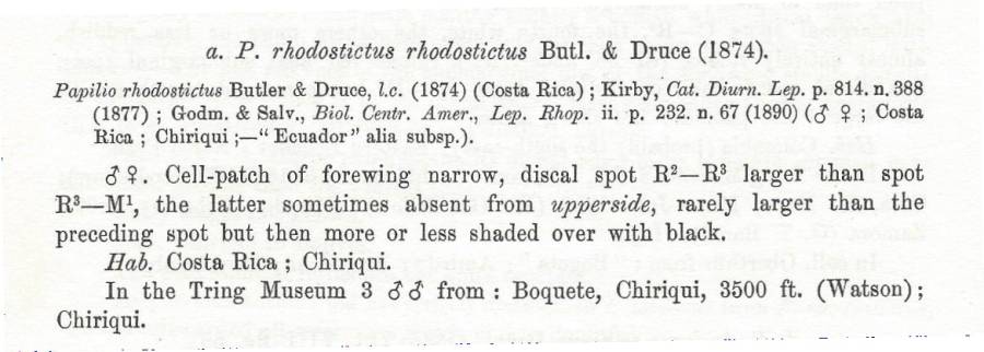 Papilio rhodostictus rhodostictus Subspecies Text<br>(Origin of the Specimen: Rothschild and Jordan - 1906)