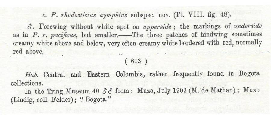 Papilio rhodostictus ssp nymphius Subspecies Text<br>(Origin of the Specimen: Rothschild and Jordan)