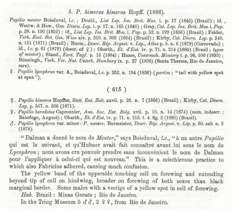 Subspecies text for the nominate form<br>(Origin of the Specimen: Rothschld and Jordan: 1906)