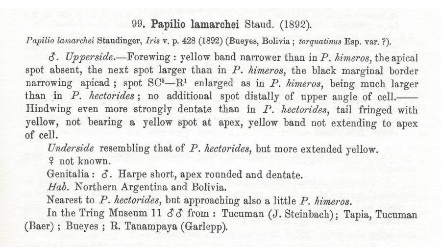 Papilio lamarchei Text<br>(Origin of the Specimen: Rothschild and Jordan 1906)
