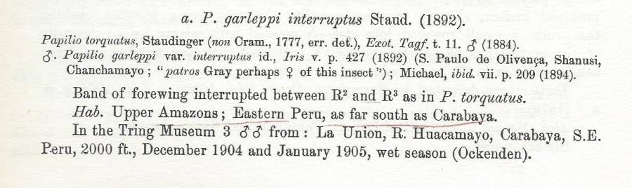 P. garleppi subspecies interruptus<br>(Origin of the Specimen: Rothschild and Jordan 1906)