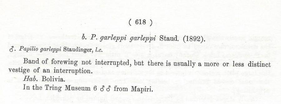 Papilio garleppi ssp garleppi text<br>(Origin of the Specimen: Rothschild and Jordan 1906)