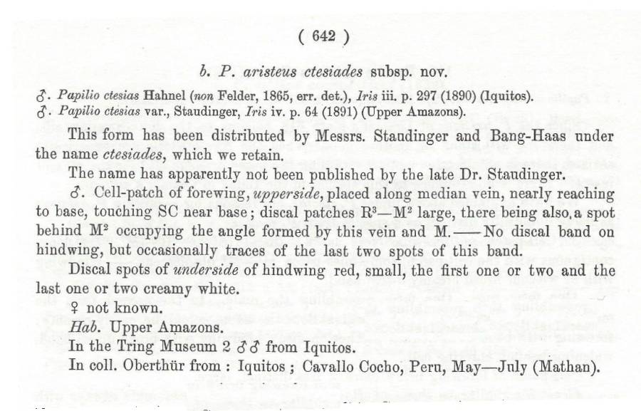 Papilio aristeus etesiades - Subspecies Text<br>(Origin of the Specimen: Rothschld and Jordan - 1906)