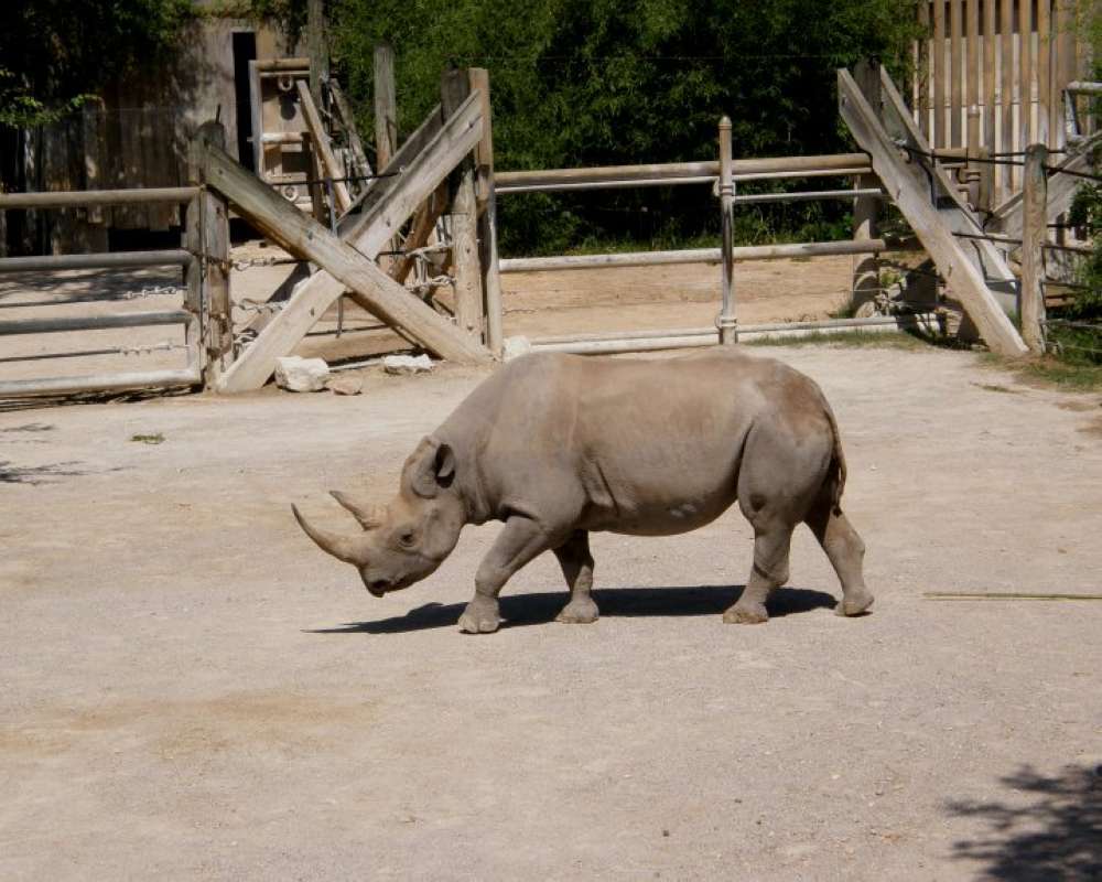 Ranch View<br>(Location of Picture: Fossil Rim, Texas, USA, 2009)