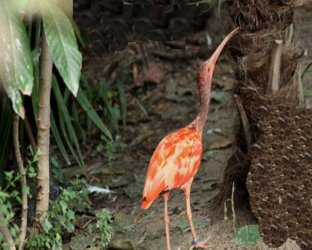 Zoo View<br>(Location of Picture: Fort Worth Zoo, Texas, USA, 2009)
