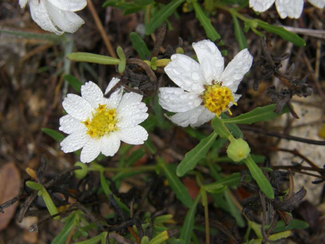 <br>(Location of Picture: Hill Country, Texas, 2011)<br>(Location of Picture: Hill Country, Texas, 2011)