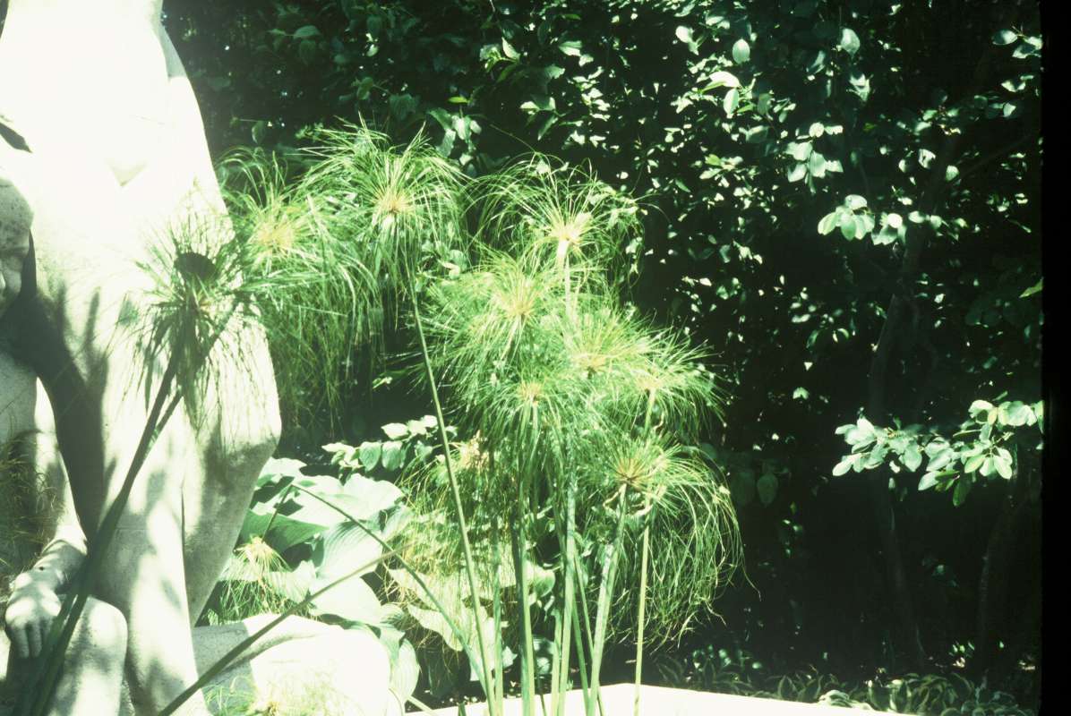 Garden View<br>(Location of Picture: Whitnal  garden, Wisconsin, USA)