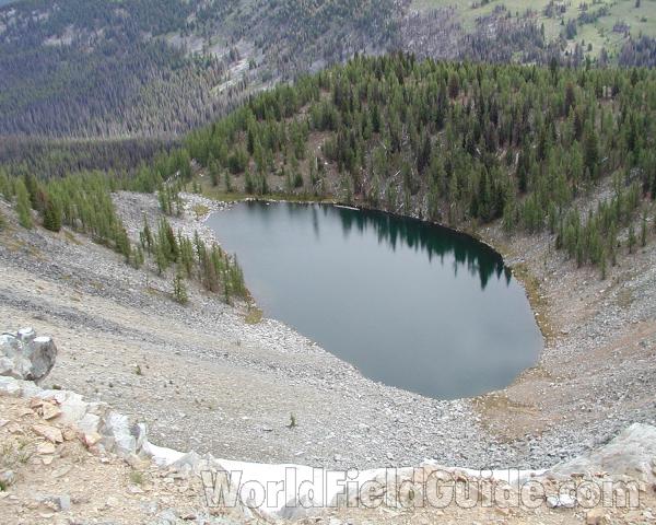 Distant View<br>(Location of Picture: Tiffany, Washington, USA)