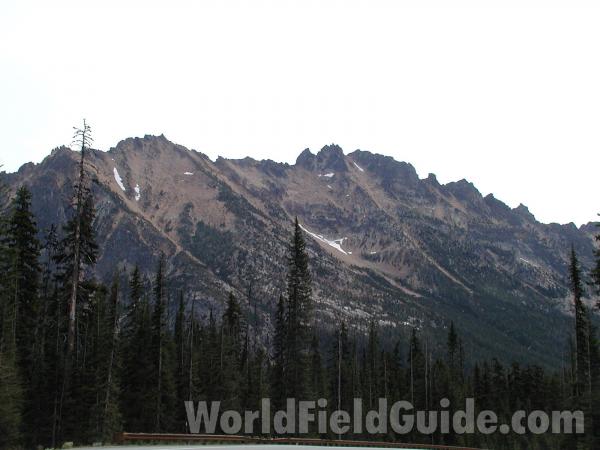 Crest #2<br>(Location of Picture: North Cascades, Washington, USA)