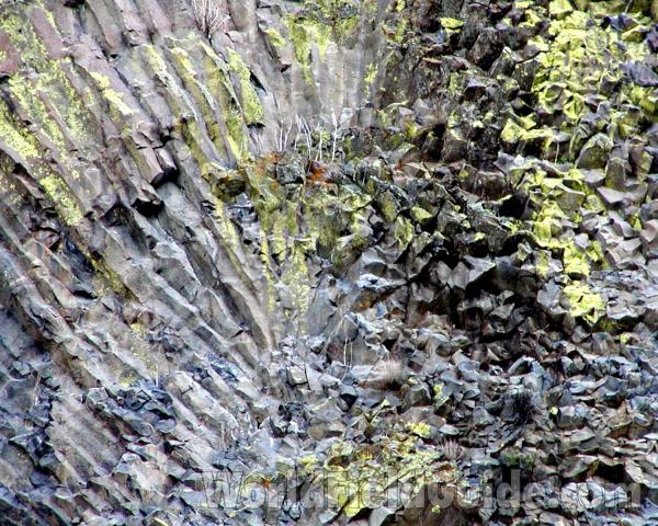 Habitat View - Closer<br>(Location of Picture: Coulee Dam, Washington, USA)